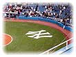 Bronx