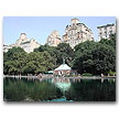 Central Park