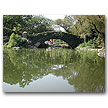 Central Park