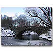 Central Park